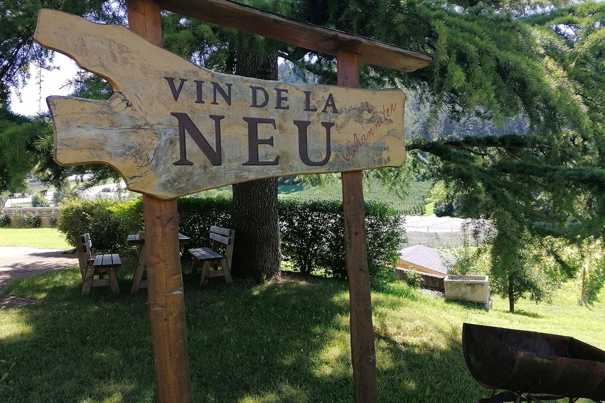 vin de la neu
