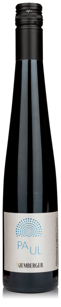 Questa immagine ha l'attributo alt vuoto; il nome del file è kiemberger_paul-2-e1623829640731-205x1024.png